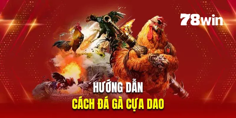 Hướng dẫn người mới cách đá gà cựa dao tại 78win